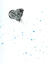 Moth {Fay-erie Dust}, 2014 (trägravyr och akvarell på papper)